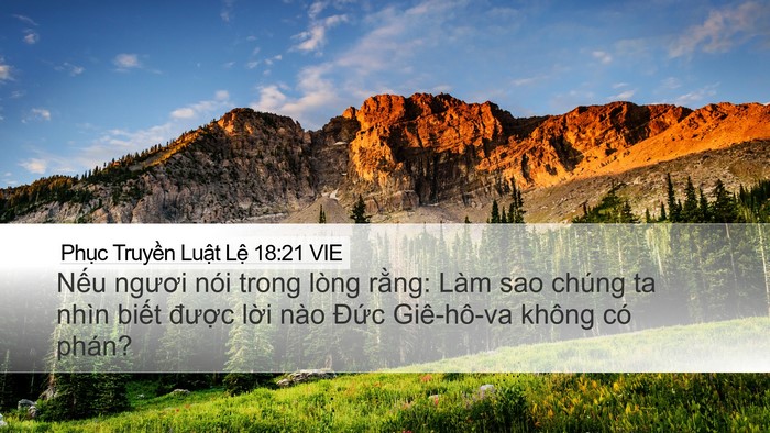 Phục Truyền Luật Lệ 18:21 VIE Bible Verse Image