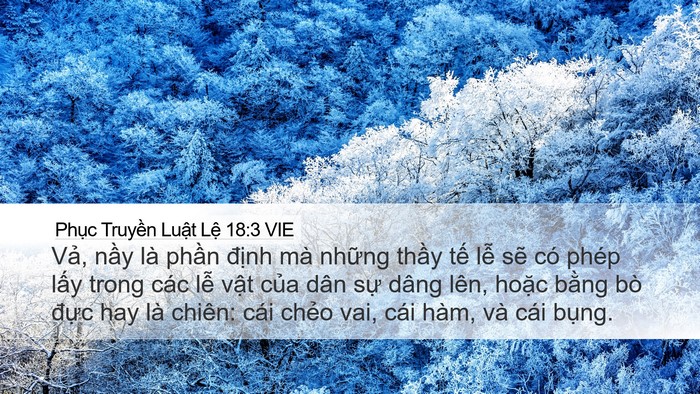 Phục Truyền Luật Lệ 18:3 VIE Bible Verse Image