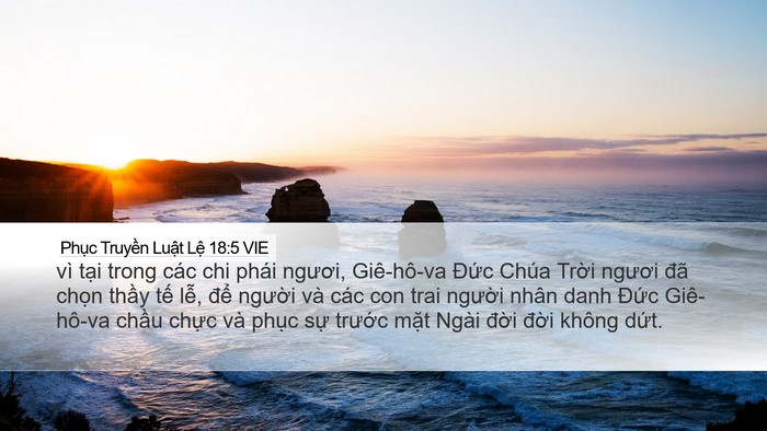 Phục Truyền Luật Lệ 18:5 VIE Bible Verse Image