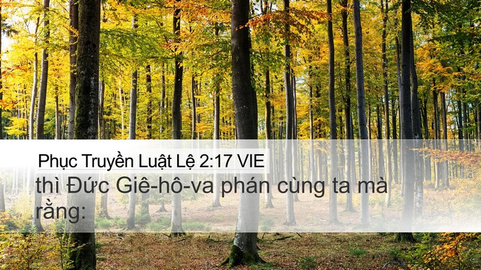 Phục Truyền Luật Lệ 2:17 VIE Desktop Wallpaper - thì Đức Giê-hô-va phán cùng ta mà - Desktop Bible Verse Wallpaper