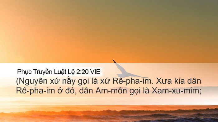 Phục Truyền Luật Lệ 2:20 VIE Bible Verse Image