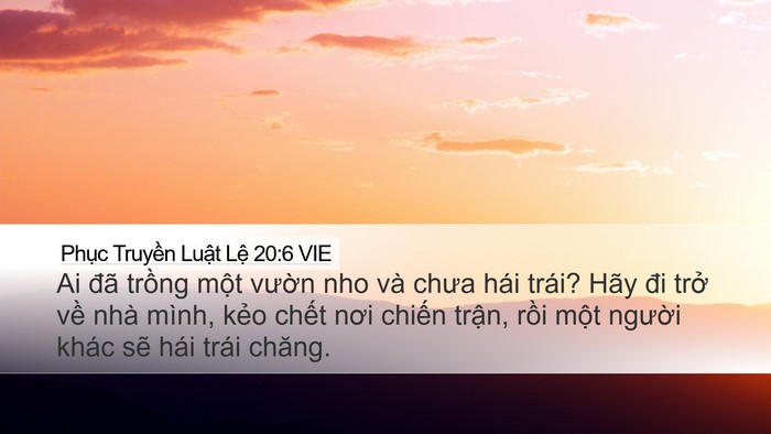 Phục Truyền Luật Lệ 20:6 VIE Bible Verse Image