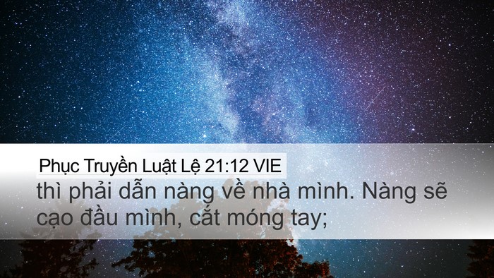 Phục Truyền Luật Lệ 21:12 VIE Bible Verse Image
