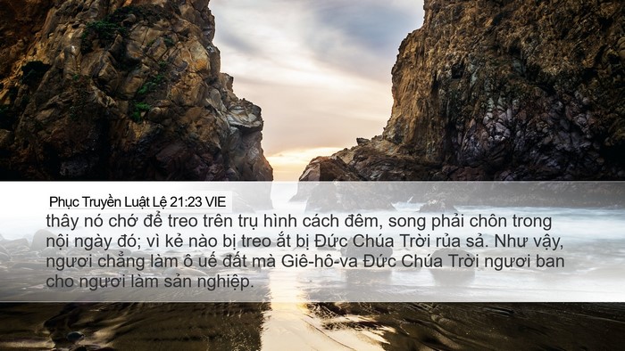 Phục Truyền Luật Lệ 21:23 VIE Bible Verse Image