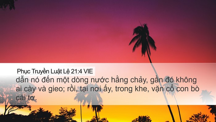 Phục Truyền Luật Lệ 21:4 VIE Desktop Wallpaper - dẫn nó đến một dòng nước hằng - Desktop Bible Verse Wallpaper
