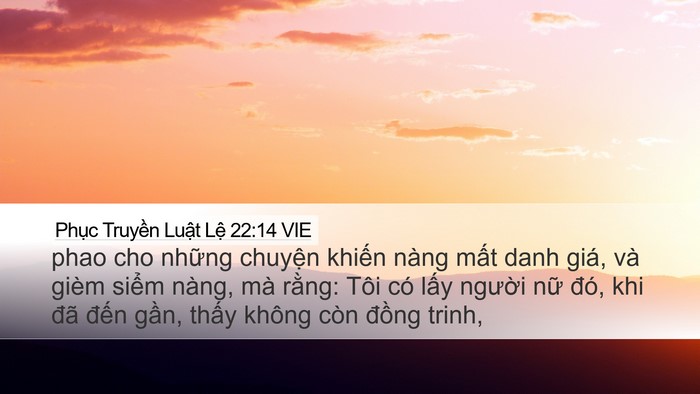 Phục Truyền Luật Lệ 22:14 VIE Desktop Wallpaper - phao cho những chuyện khiến nàng mất - Desktop Bible Verse Wallpaper
