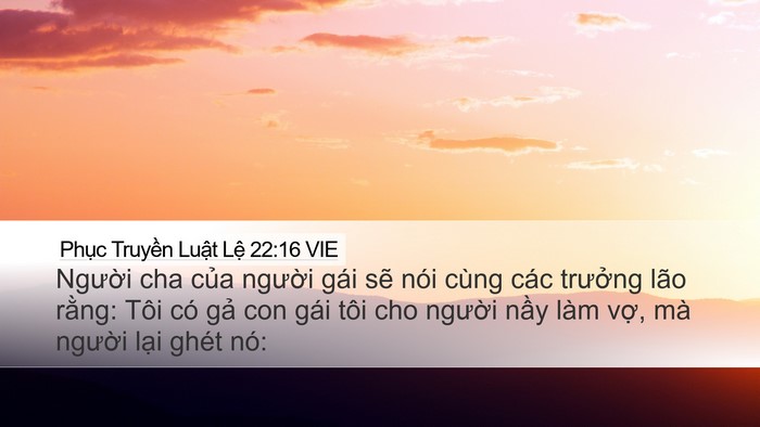 Phục Truyền Luật Lệ 22:16 VIE Desktop Wallpaper - Người cha của người gái sẽ nói cùng - Desktop Bible Verse Wallpaper