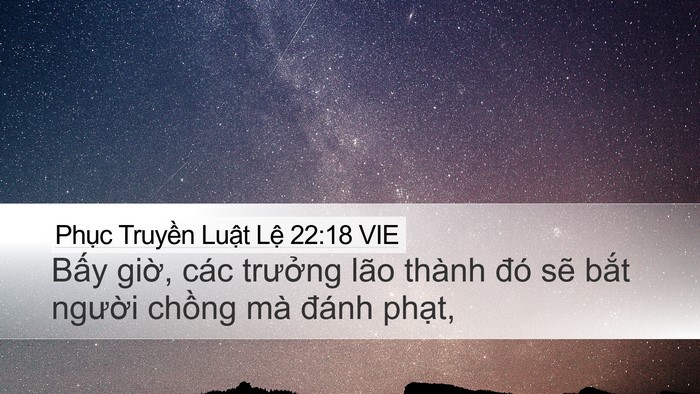 Phục Truyền Luật Lệ 22:18 VIE Desktop Wallpaper - Bấy giờ, các trưởng lão thành đó sẽ - Desktop Bible Verse Wallpaper