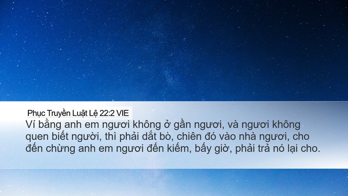 Phục Truyền Luật Lệ 22:2 VIE Desktop Wallpaper - Ví bằng anh em ngươi không ở gần - Desktop Bible Verse Wallpaper