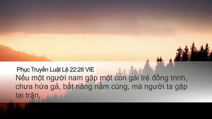 Phục Truyền Luật Lệ 22:28 VIE Desktop Wallpaper - Nếu một người nam gặp một con gái - Desktop Bible Verse Wallpaper