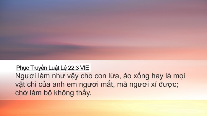 Phục Truyền Luật Lệ 22:3 VIE Desktop Wallpaper - Ngươi làm như vậy cho con lừa, áo xống - Desktop Bible Verse Wallpaper