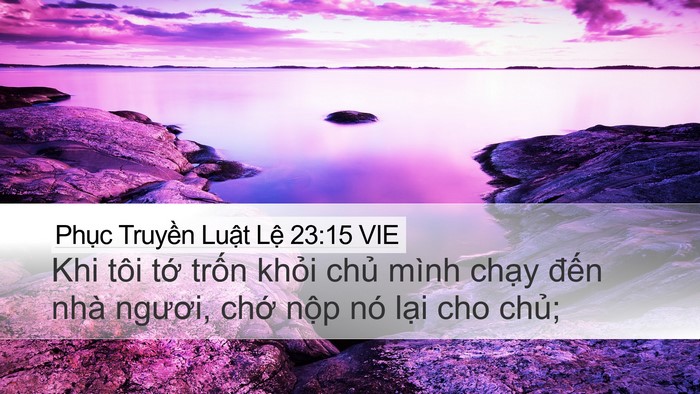 Phục Truyền Luật Lệ 23:15 VIE Bible Verse Image