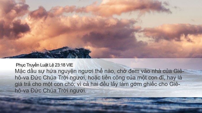 Phục Truyền Luật Lệ 23:18 VIE Bible Verse Image