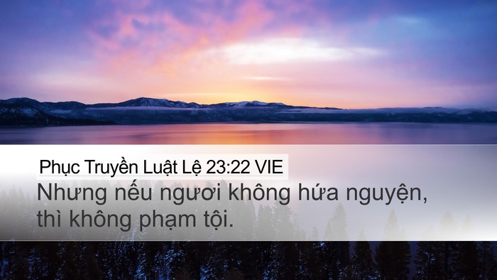 Phục Truyền Luật Lệ 23:22 VIE Bible Verse Image