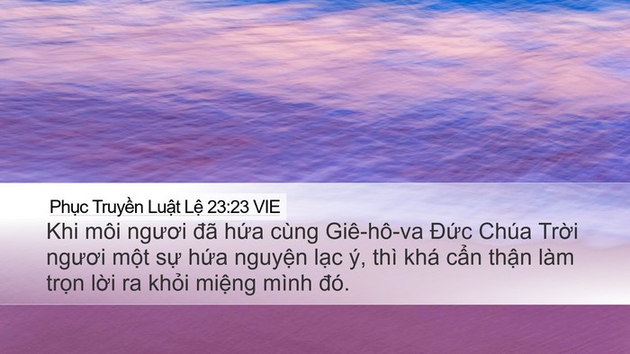 Phục Truyền Luật Lệ 23:23 VIE Bible Verse Image