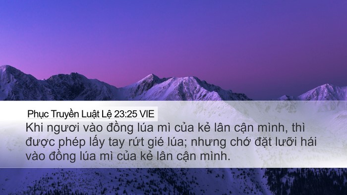Phục Truyền Luật Lệ 23:25 VIE Bible Verse Image