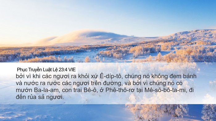Phục Truyền Luật Lệ 23:4 VIE Bible Verse Image
