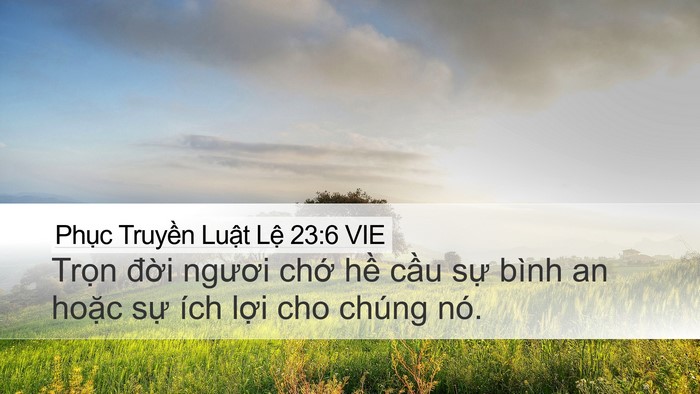 Phục Truyền Luật Lệ 23:6 VIE Bible Verse Image