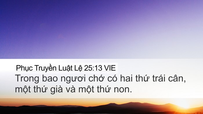 Phục Truyền Luật Lệ 25:13 VIE Bible Verse Image