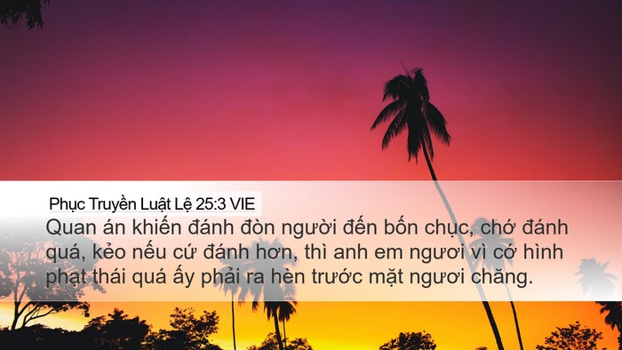 Phục Truyền Luật Lệ 25:3 VIE Desktop Wallpaper - Quan án khiến đánh đòn người đến - Desktop Bible Verse Wallpaper
