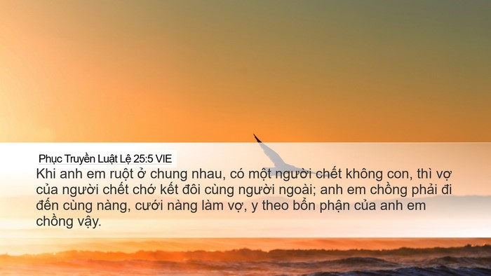 Phục Truyền Luật Lệ 25:5 VIE Bible Verse Image