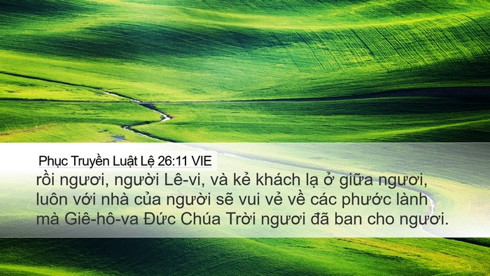 Phục Truyền Luật Lệ 26:11 VIE Bible Verse Image