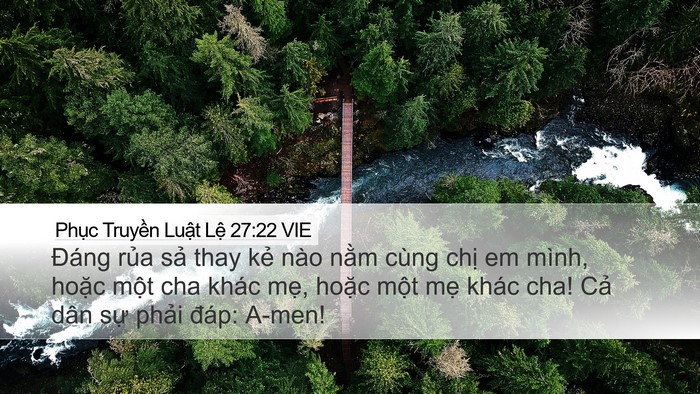 Phục Truyền Luật Lệ 27:22 VIE Desktop Wallpaper - Đáng rủa sả thay kẻ nào nằm cùng - Desktop Bible Verse Wallpaper