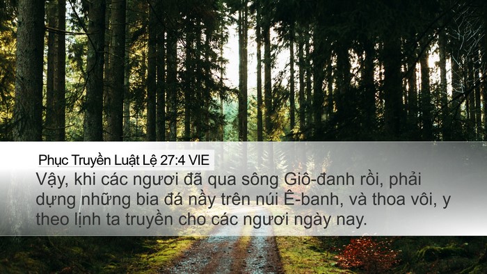 Phục Truyền Luật Lệ 27:4 VIE Bible Verse Image