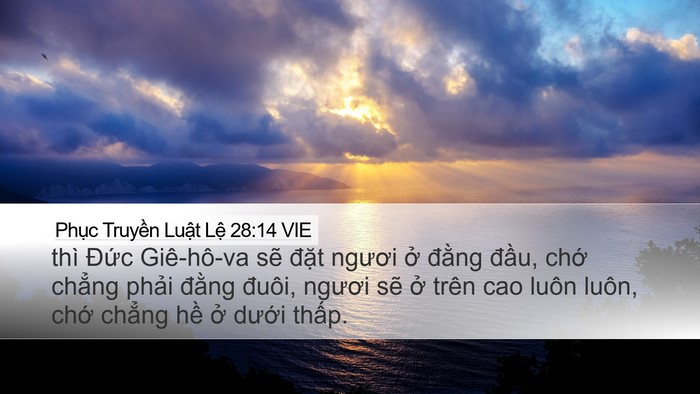 Phục Truyền Luật Lệ 28:14 VIE Bible Verse Image