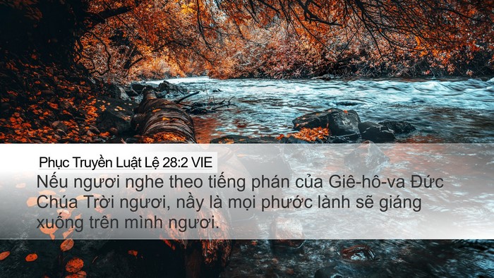 Phục Truyền Luật Lệ 28:2 VIE Bible Verse Image