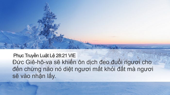 Phục Truyền Luật Lệ 28:21 VIE Bible Verse Image