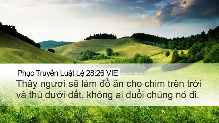 Phục Truyền Luật Lệ 28:26 VIE Bible Verse Image