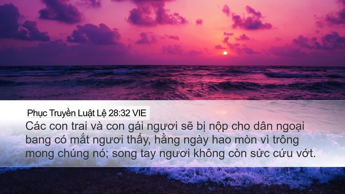 Phục Truyền Luật Lệ 28:32 VIE Bible Verse Image