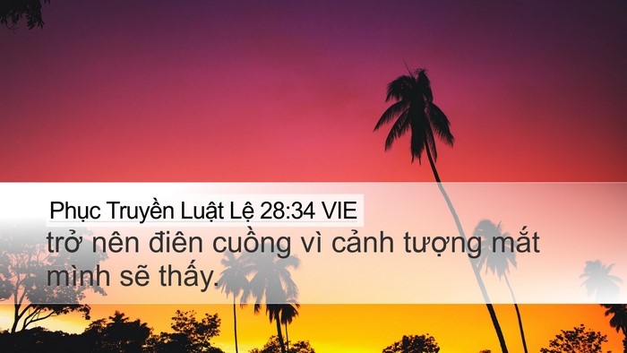 Phục Truyền Luật Lệ 28:34 VIE Bible Verse Image