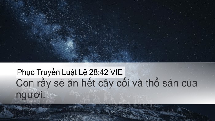 Phục Truyền Luật Lệ 28:42 VIE Bible Verse Image