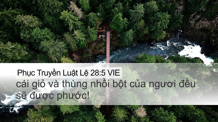 Phục Truyền Luật Lệ 28:5 VIE Desktop Wallpaper - cái giỏ và thùng nhồi bột của ngươi - Desktop Bible Verse Wallpaper