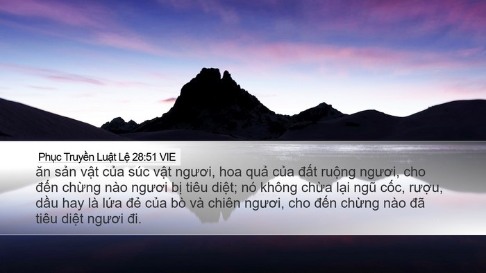 Phục Truyền Luật Lệ 28:51 VIE Bible Verse Image