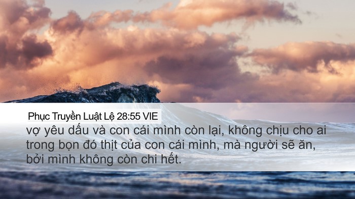 Phục Truyền Luật Lệ 28:55 VIE Bible Verse Image