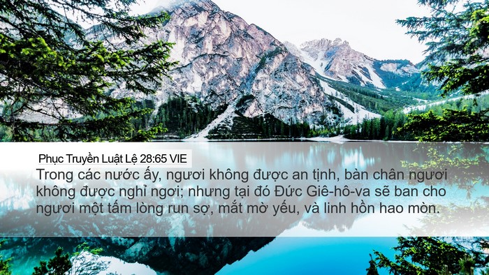 Phục Truyền Luật Lệ 28:65 VIE Bible Verse Image