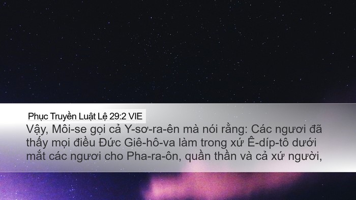 Phục Truyền Luật Lệ 29:2 VIE Bible Verse Image