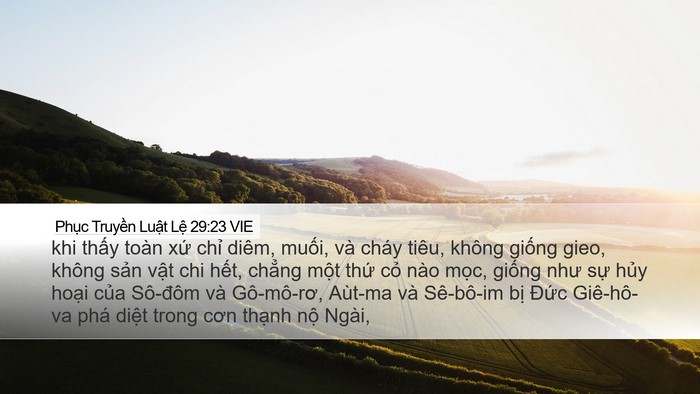Phục Truyền Luật Lệ 29:23 VIE Bible Verse Image