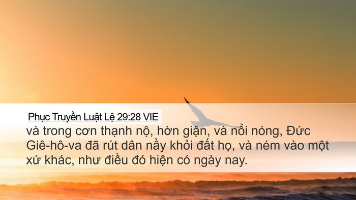 Phục Truyền Luật Lệ 29:28 VIE Bible Verse Image