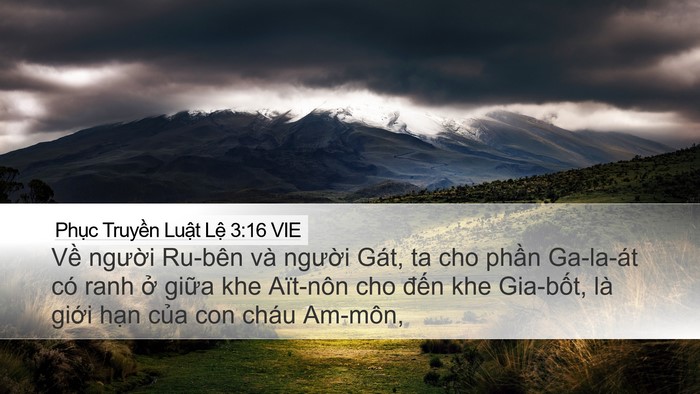 Phục Truyền Luật Lệ 3:16 VIE Bible Verse Image