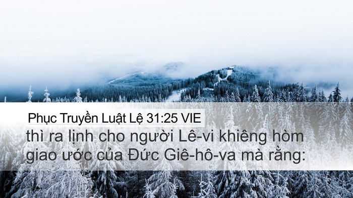 Phục Truyền Luật Lệ 31:25 VIE Bible Verse Image