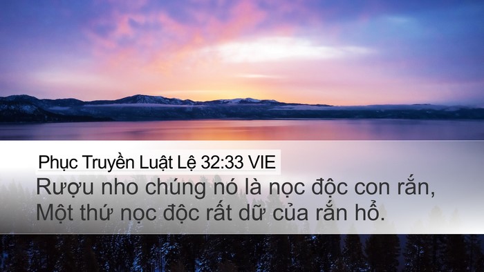 Phục Truyền Luật Lệ 32:33 VIE Bible Verse Image