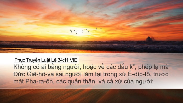 Phục Truyền Luật Lệ 34:11 VIE Bible Verse Image