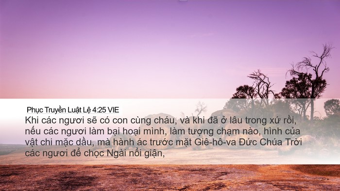 Phục Truyền Luật Lệ 4:25 VIE Bible Verse Image
