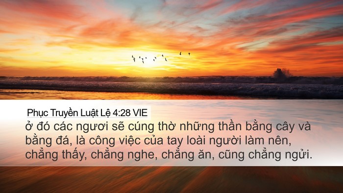 Phục Truyền Luật Lệ 4:28 VIE Bible Verse Image