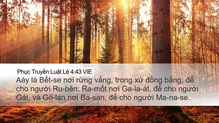 Phục Truyền Luật Lệ 4:43 VIE Bible Verse Image