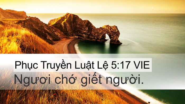 Phục Truyền Luật Lệ 5:17 VIE Bible Verse Image